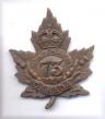 73th canadian infantry battalion