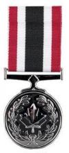 Special service medal
