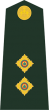 Army lieutenant canada