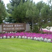 Prince albert photo